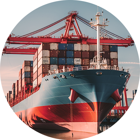 Packers And Movers In Chennai